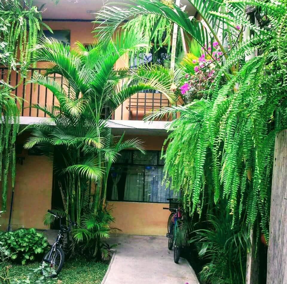 Hospedaje Eli Panajachel Ngoại thất bức ảnh